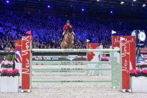 Horse Jumping Over an Obstacle